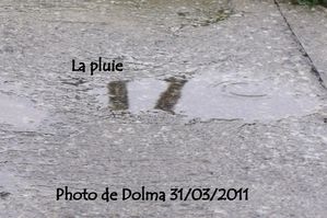 la-pluie-31-03-2011.jpg