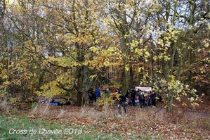 DSC03737--Medium-.JPG