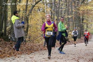 DSC03857--Medium-.JPG