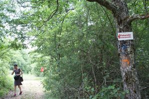 DSC09986--Medium-.JPG