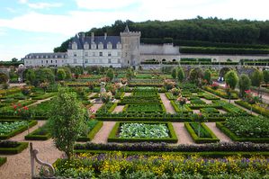 chateau-de-villandry-et-son-jardin.jpg