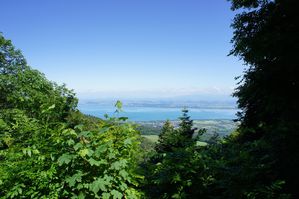 DSC01454.JPG