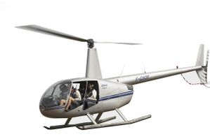 helicow.jpg