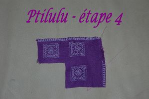 ptilulu-etape-4.jpg