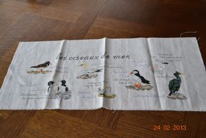 oiseaux 2