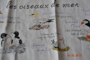 oiseaux 4
