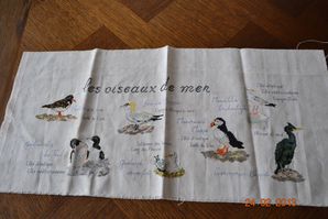 oiseaux 6