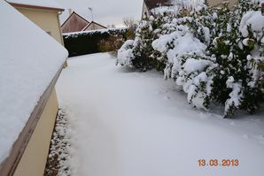 13.03.2013 03
