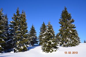 sb 2013 07