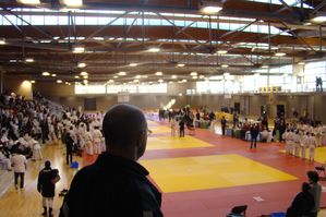 DSC00554