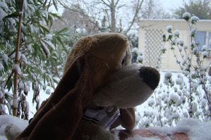 DSC00140