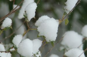 DSC00148