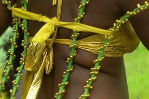 Carnaval-Petit-Bourg6.JPG