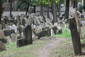 DSC01216.JPG