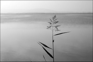 td-solitude