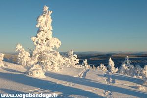 neige-finlande.jpg