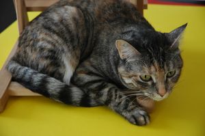 DSC 0496