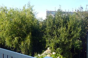 P1050417.JPG
