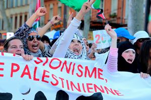 Manifestation Pro-Palestinienne Toulouse 2014 (10)