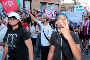Manifestation Pro-Palestinienne Toulouse 2014 (38)