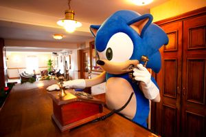 sonic_reception_jpg_650x10000_q85.jpg