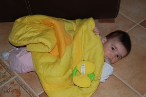 DSC_0402-copie-1.JPG