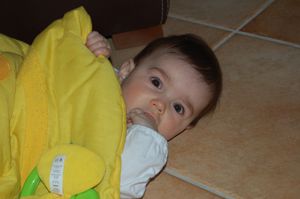DSC_0405-copie-1.JPG