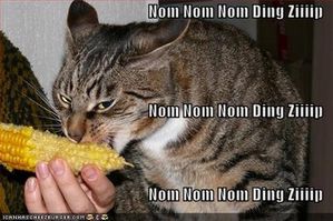 funny-pictures-cat-eats-an-ear-of-corn-with-typewriter-soun.jpg