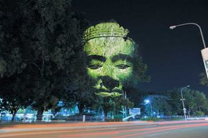 3d-images-projected-onto-trees-clement-briend-3