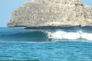 Surf et SUP 240110 042-copie-1