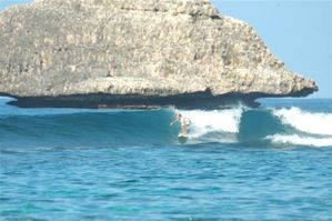 Surf et SUP 240110 068
