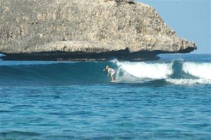 Surf et SUP 240110 069