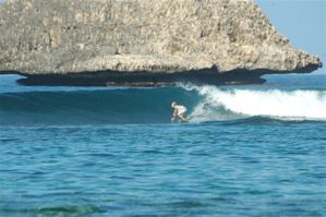 Surf et SUP 240110 070