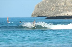 Surf et SUP 240110 079