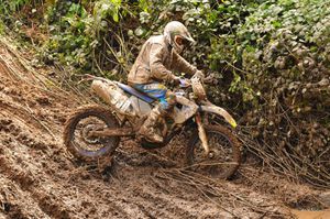 flers 227
