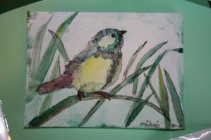 oiseau-aquarelle.jpg