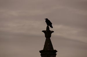 cimetière de Tours 13 octobre 2012 033