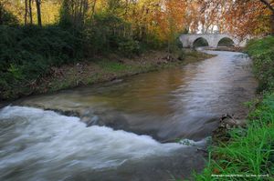 Le pont de St Pons (13)