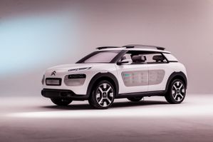 citroen-cactus-2014.jpg