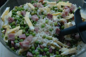 riz-cantonnais.JPG