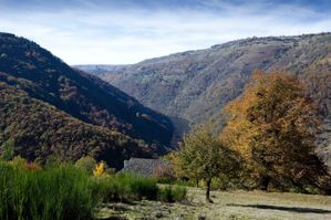 _MG_5383.jpg