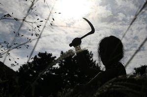article bedevilled 2