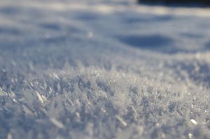 neige_23.JPG
