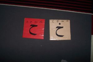 000_2384.jpg