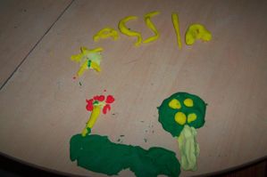 000_2431.jpg
