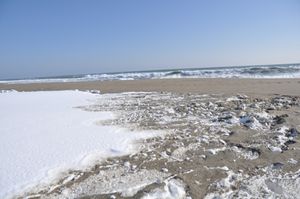 DSC_0187.JPG