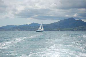 DSC_0217-copie-1.JPG