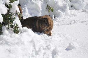 DSC_0310.JPG