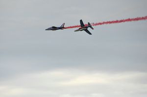 copie-de-dsc_0456.jpg