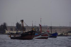 IMGP3265 Bateau requin Paracas